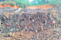 未办理环保审批 山林水塘成了垃圾填埋场