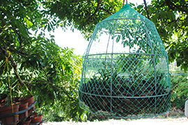 ���أ�Сʯ�����д����� ����һ�������¸�·