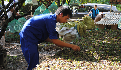 ������ֲ��Ƥʯ��ʾ��԰