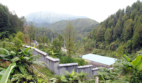 ˮԴ������