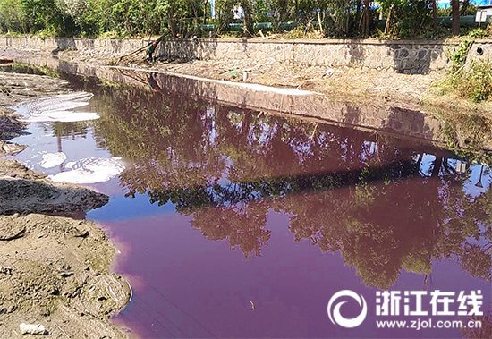 海宁一河道用“薄膜治水” 半年后水质反弹